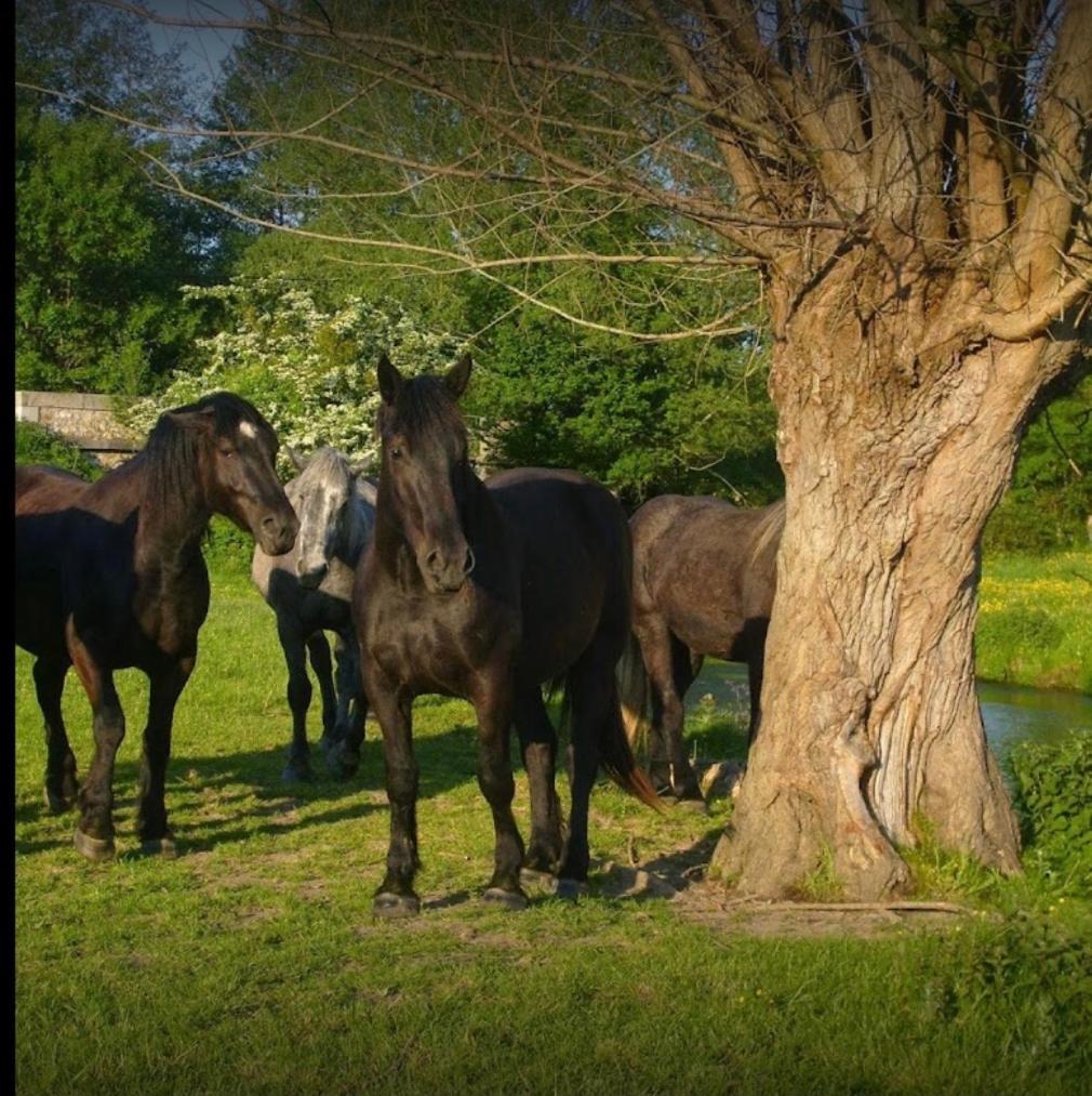 La Meuniere Villa Jouy  Luaran gambar
